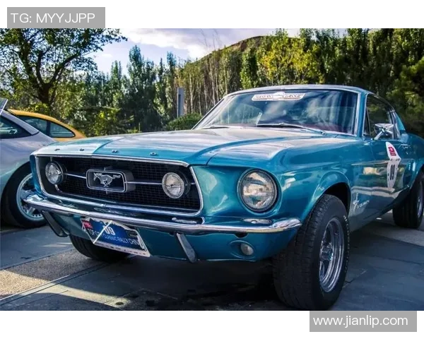 纽卡斯尔喷气机迎战泊斯光荣势必上演一场精彩对决 纽卡斯尔喷气机迎战泊斯光荣势必上演一场精彩对决